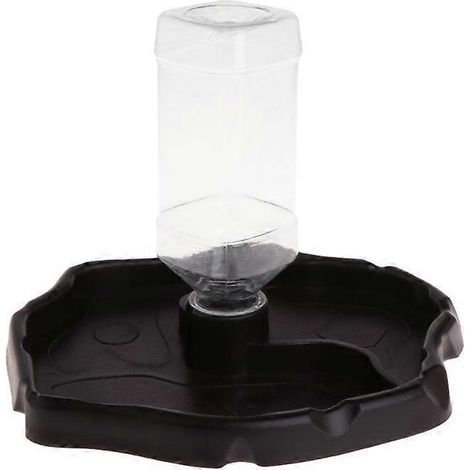 Distributeur automatique de nourriture et d'eau pour reptiles, avec deux gamelles, pour tortues. (1/5)