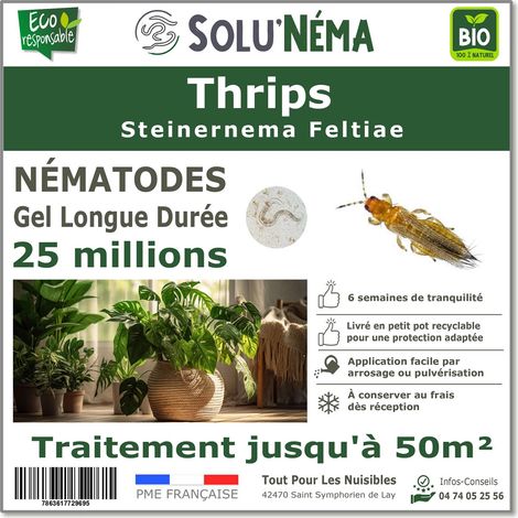 Traitement Thrips - 25 millions Nématodes SF
