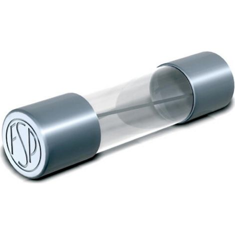 Püschel Feinsicherungen 129.000 1A Cartouche-fusible G (Ø x L) 5 mm x 25 mm 1 A 500 V semi-temporisé