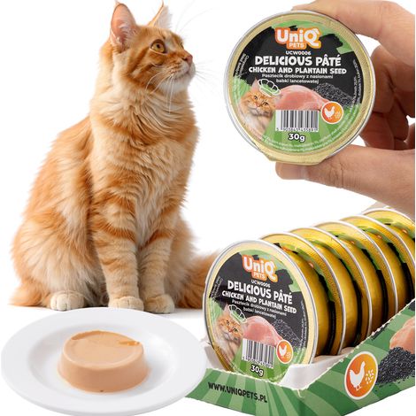 Comida húmeda para gatos Paté de pollo con pastel Delicioso paté UniQ Pets 8x30g