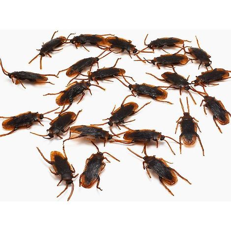lot De 20 Fausses Blattes En Plastique Pour Les Blattes, Les Insectes, Les Blagues