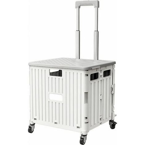 Shopping trolley with wheels, color to 1 (1/5)