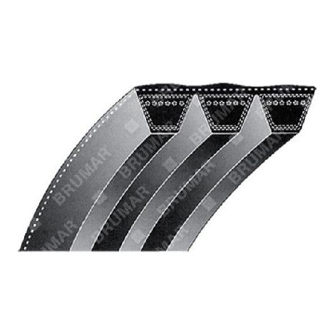 Cinghia per spazzaneve GARDEN PRO COMPATIBILE - 024392