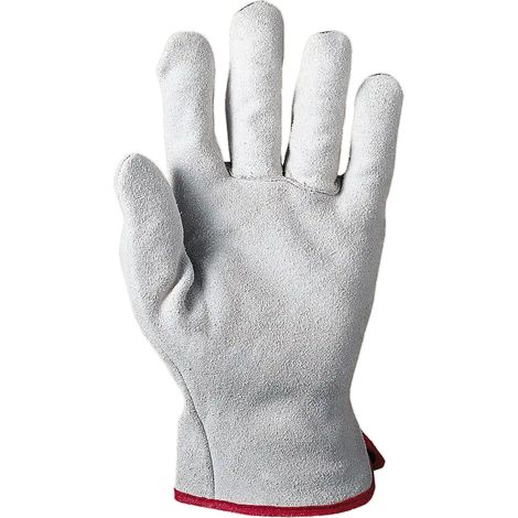 SIR SAFETY SYSTEM TASMANIA Gants de protection mécanique en cuir gris Taille 10 Lot de 12 paires