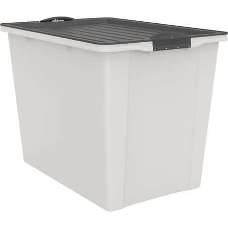 Rotho Aufbewahrungsbox Compact mit Deckel & Rollen 57 x 39,5 cm 70 L mistletoe weiß