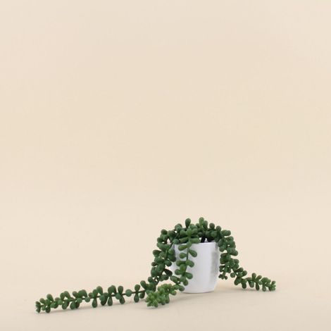 Plante grasse artificielle tombante pot céramique 23cm