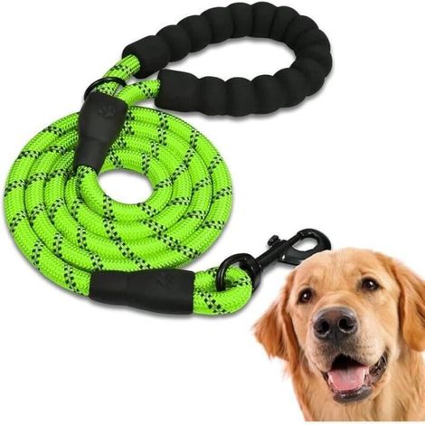 Laisse de Chien Forte en Nylon Rond avec Double Poignée Confortable - FOOTIER - Vert vif (1/4)