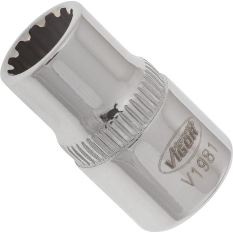 VIGOR Innenvierkant Antrieb 6,3 = 1/4 Zoll Multiprofil-Steckschlüssel-Einsatz Multiprofil V1981 Vierkant hohl 6,3 mm (1/4 Zoll) 8 Gesamtlänge: 25 mm (1/4)