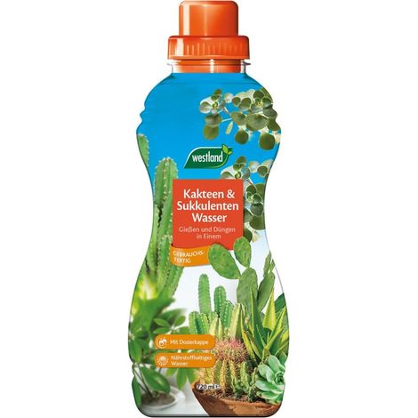 Westland Kakteen- & Sukkulenten Wasser 720 ml Dünger (1/2)