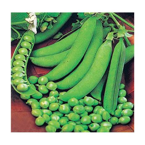 POIS PLEIN LE PANIER - 150 G