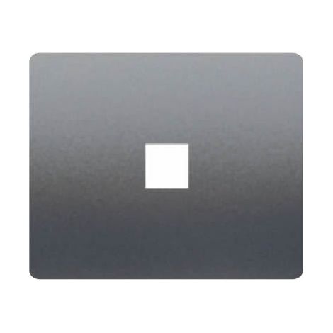 Abdeckbuchse TELF oder RJ45 STEEL NEPTUNE BJC IRIS 18882-AN