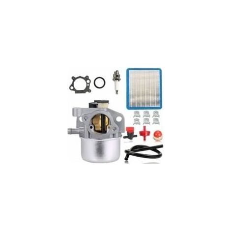 Carburateur pour Briggs & Stratton 799871 799866 790845 796707 794304 Moteur Toro Recycler 22'' Craftsman Tondeuse à gazon Pièces avec filtre à air Ligne de carburant Ampoule d'amorçage (1/5)