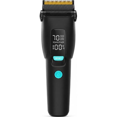 Tondeuse à poils d'animaux pour chiens et chats, tondeuse sans fil, 6 embouts 3-19 mm, USB-C, 3 vitesses, écran LED, lumière de coupe (1/5)
