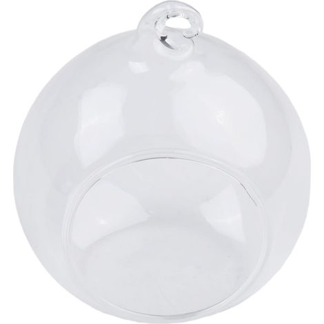 Boule de verre suspendue pour plantes succulentes, terrariums (1/5)