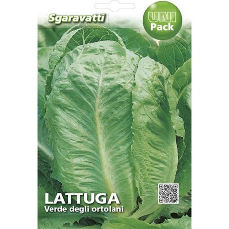 Semi per Ortaggi e Vegetali Lattuga Sgaravatti Verde degli 20 Pezzi