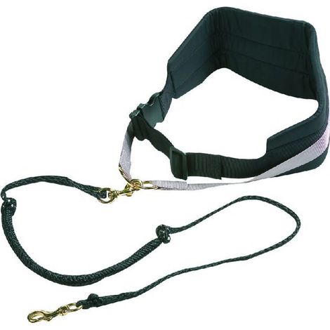 Guinzaglio per cani Canicross 140 cm (1/5)