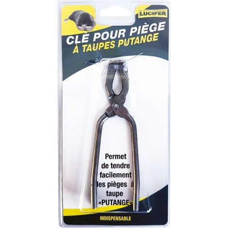 MASY - Clé pour piège à taupe putange