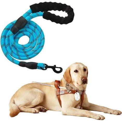 Laisse de Chien 5FT Forte avec Poignée Confortable pour Chiens Moyens - Couleur Bleue (1/5)