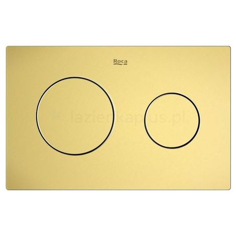 PLACAS DE ACCIONAMIENTO PL10 DUAL ORO CEPILLADO (1/2)