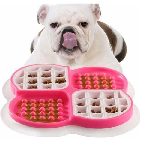 QORVA-Gamelle Anti Glouton pour Chien,Interactif Tapis Lécher Chien Chat,Bol d'alimentation Lente,Tapis d'Alimentation Lente Pour Animaux de Compagnie,favorise Une Alimentation Saine et Une Digestion (1/4)