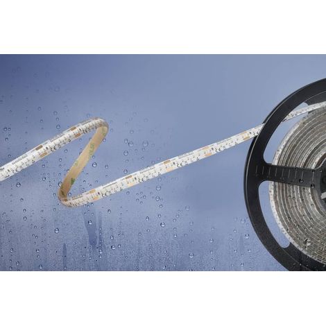 Barthelme Basic Cinta LED blanca 5 m regulable