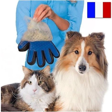 1. Gants de toilettage pour animaux, pour enlever les poils morts et masser les animaux, ajustables, adaptés aux chiens, chats, lapins et furets. (1/4)