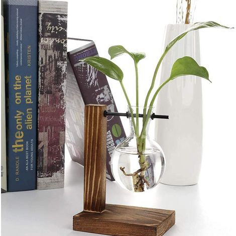 Vase en verre transparent pour plantes hydroponiques de bureau, décoration de table, boîte incluse, modèle A (1/5)