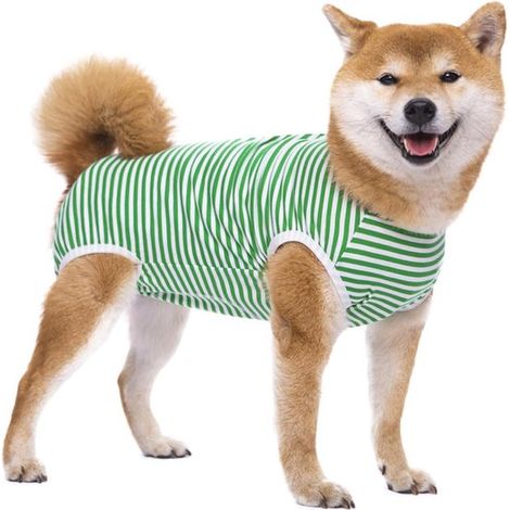 Tuta post-operatoria per cani - tuta post-operatoria per cani - abbigliamento chirurgico per cani - indumenti protettivi per animali domestici (verde) - taglia XL - lunghezza schiena 35 cm (1/5)