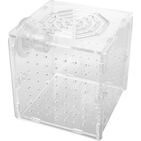 1 boîte d'incubation pour poissons (1/3)