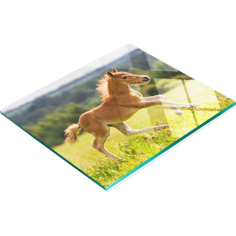 Tagliere da cucina decorativo in vetro con motivo puledro al galoppo, 60x52 cm (1/5)