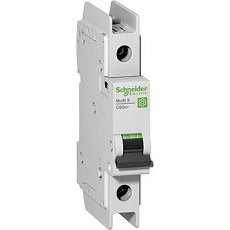 Interruttore Schneider Electric c60bp 10A 240V