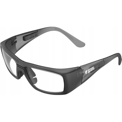 Korrektions-Schutzbrille +2,5