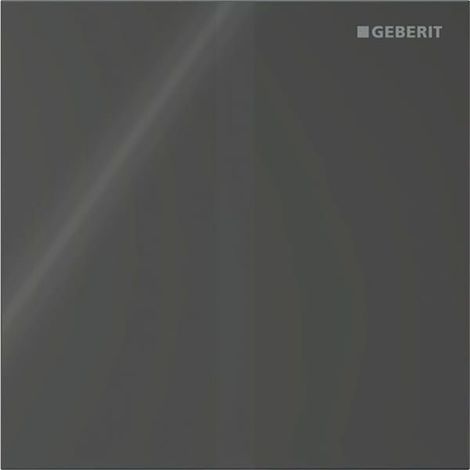Geberit Betätigungsplatte für Urinalsteuerung Typ 40, eckig, 12,5x12,5x0,4cm, Schwarz, 246121SJ1 (1/5)