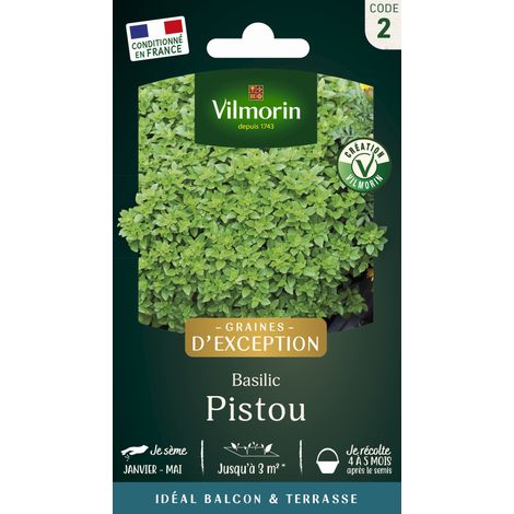 Basilic Pistou - Graines d'Exception Vilmorin (1/2)