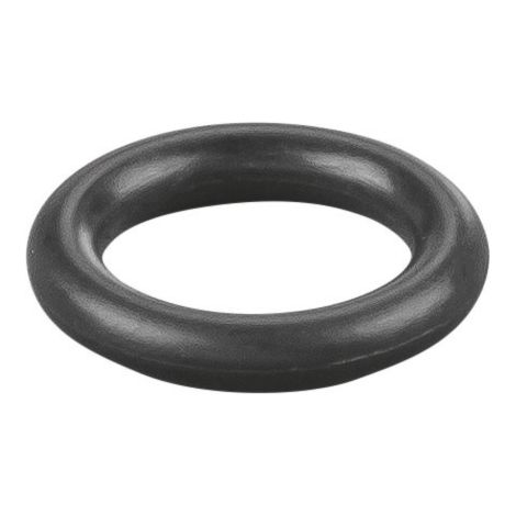 Rems O-Ring 060355