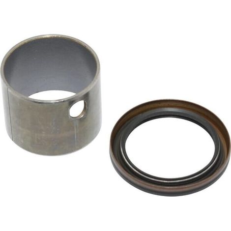 Set boccole/guarnizione BRIGGS ET STRATTON 591010 (1/2)