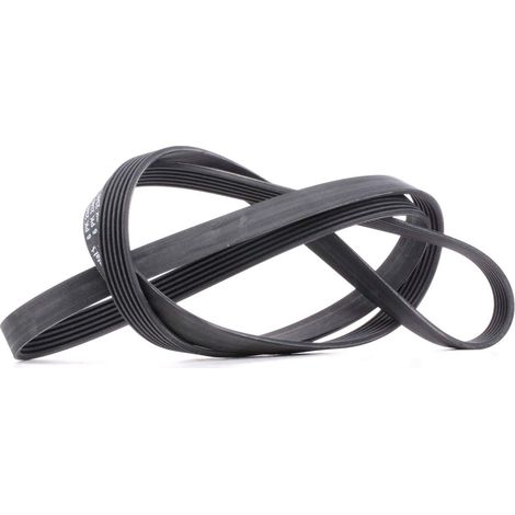 Cinghia multi-nervata CONTITECH 6 PK 2345 (1/4)