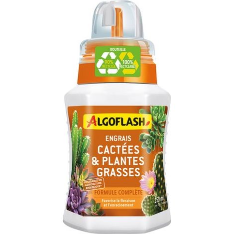 Engrais Cactées Plantes Grasses Nutrition Spécifique Cactées & Succulentes - Algoflash