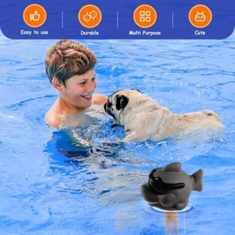 Termometro per piscina, termometro per piscina con tracolla, termometro per acqua a cartone animato per piscine esterne/interne (1/3)