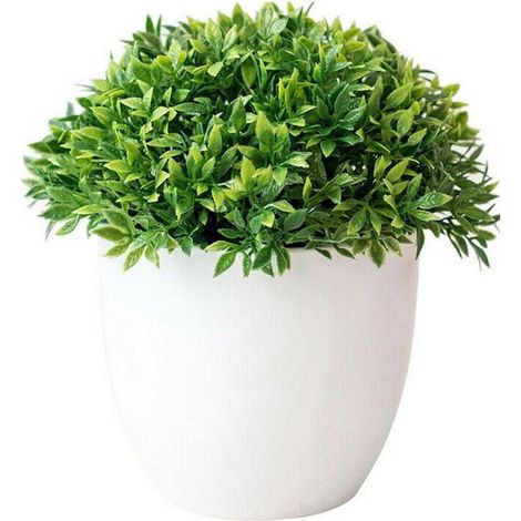 Plante Artificielle - Diamètre 14 cm - Pot Hauteur 7,5 cm - Décoration Intérieure Bureau Salon Café - 1 Pièce (1/5)