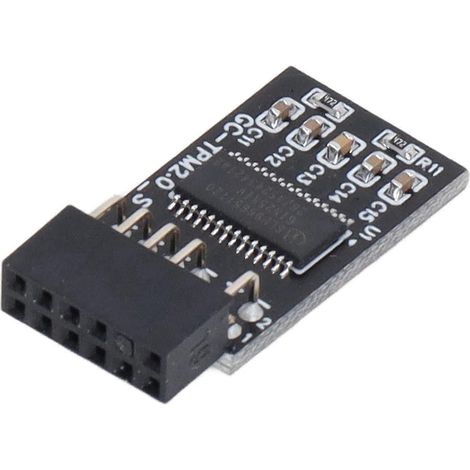 Module TPM 2.0 LPC SPI 12 broches, carte de sécurité de cryptage à distance, accessoire pour GIGABYTE