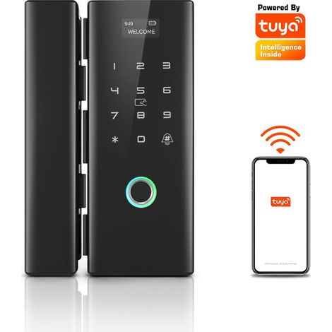 Tuya Serratura con Impronta Digitale per Porte in Vetro Smart WiFi (1/5)