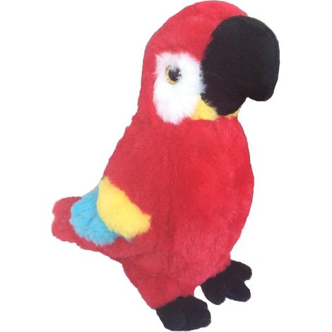 Ara rossa, 20 cm