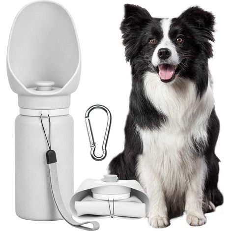 550 ml Collapsible Dog Water Bottle with Carabiner Silicone for Walks, Hiking and Travelling with Dogs and Cats (1/5)