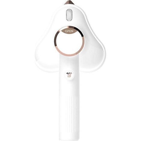Mini fer à vapeur de voyage, défroisseur vapeur portable pour vêtements, prise américaine B (1/5)