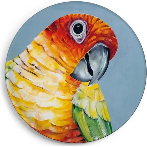 Papageienmagnet