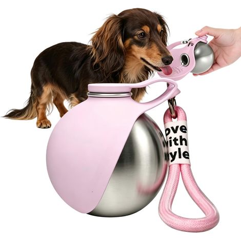 Gourde pour chien - 285 ml - En acier inoxydable - Avec gamelle pliable en silicone - Anti-fuite et compacte - Pour les promenades, la randonnée et les voyages - Rose (1/5)