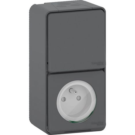 Schneider Electric – Prise de courant 2P+T avec interrupteur saillie IP55 – Étanche et résistant IK08 – Montage facile en extérieur – Polycarbonate rigide (1/6)