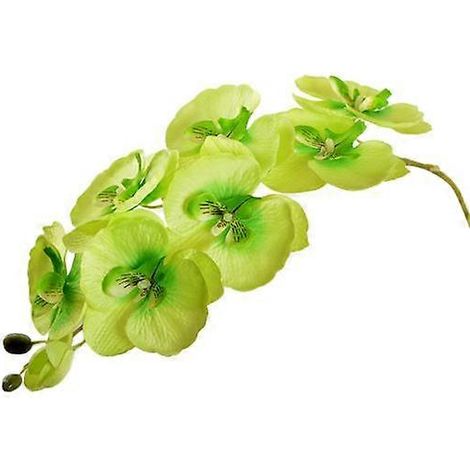fleur artificielle, papillon, orchidée, décoration de bureau pour mariage ou fête, à faire soi-mêmevert (1/5)