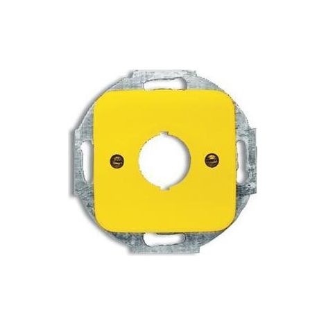 Busch-Jaeger Zentralscheibe gelb 22,5mm Befehlsgeräte 2533-214-15 (1/5)